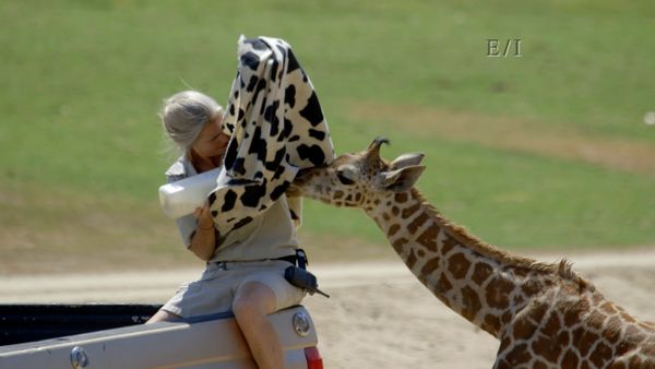 Wild Wonders - Episodio 12