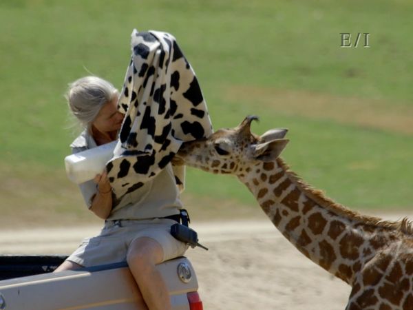 Wild Wonders - Episodio 12