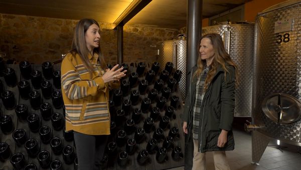 Maestri di cantina - Bollicine Italiane: Franciacorta, Trento Doc, Prosecco