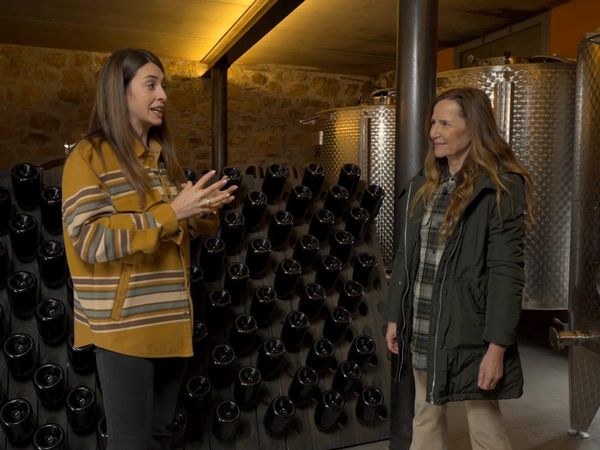 Maestri di cantina - Bollicine Italiane: Franciacorta, Trento Doc, Prosecco