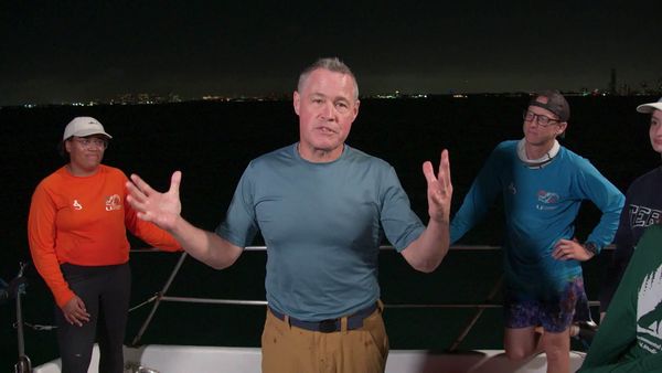 Extraordinary World with Jeff Corwin - Nocturnal Critters