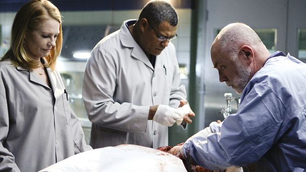 NEW CSI: Crime Scene Investigation - Deep Fried & Minty Fresh