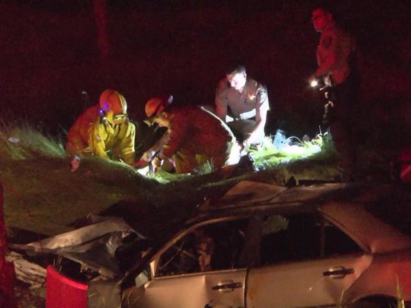 Sheriffs: El Dorado County - Just Can't Save Them All from Themselves