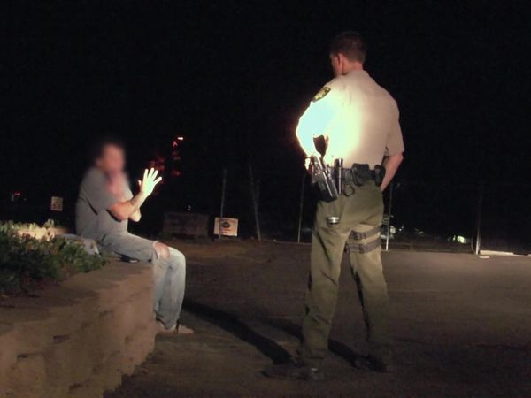 Sheriffs: El Dorado County - Drunk as a Skunk