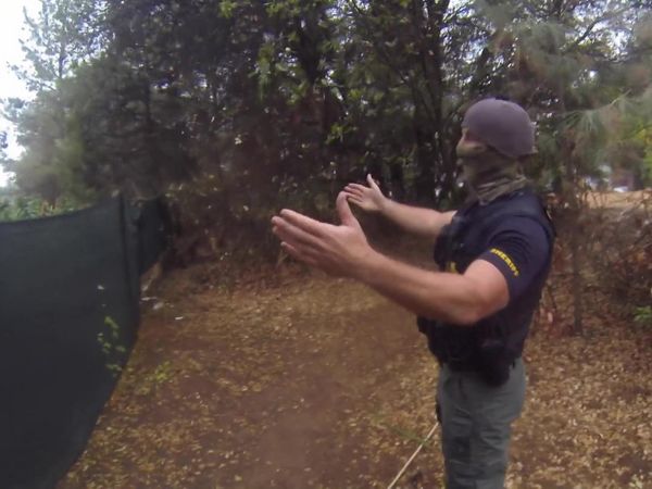 Sheriffs: El Dorado County - Mexican Cartel Pot Grow in Our Backyard