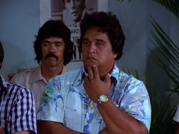 Hawaii Five-O (Original) - A Lion in the Streets (Part 1)