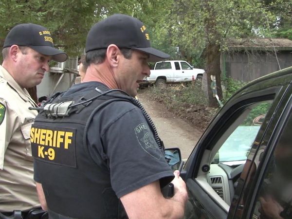 Sheriffs: El Dorado County - K-9 to the Rescue