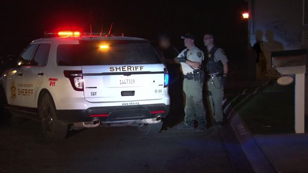 Sheriffs: El Dorado County - Bear Stroll