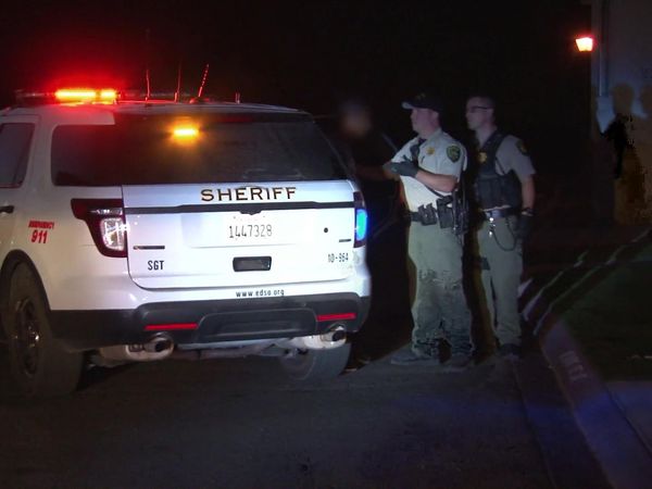 Sheriffs: El Dorado County - Bear Stroll