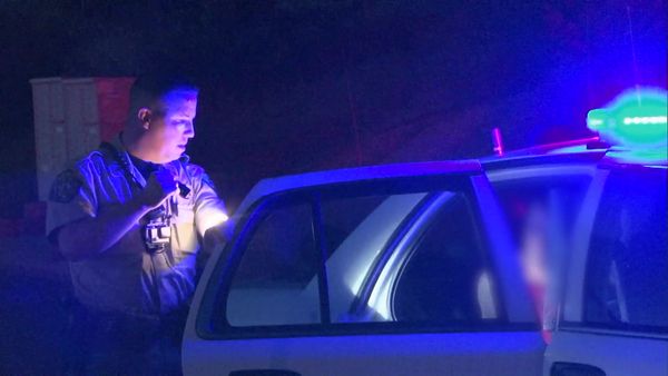 Sheriffs: El Dorado County - Dogs and Swords