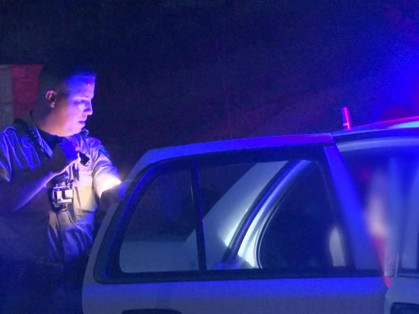 Sheriffs: El Dorado County - Dogs and Swords