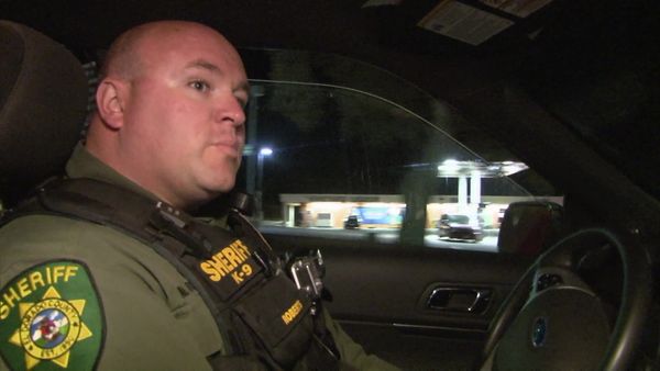 Sheriffs: El Dorado County - WENET Narcs