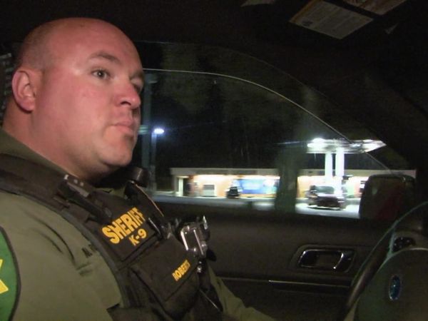 Sheriffs: El Dorado County - WENET Narcs