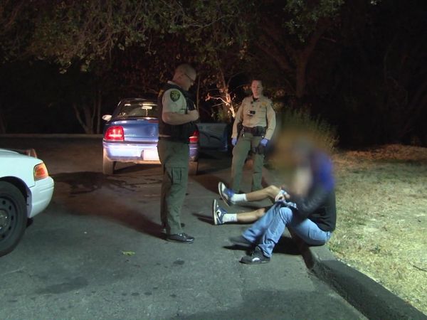 Sheriffs: El Dorado County - Law 101 According to YouTube