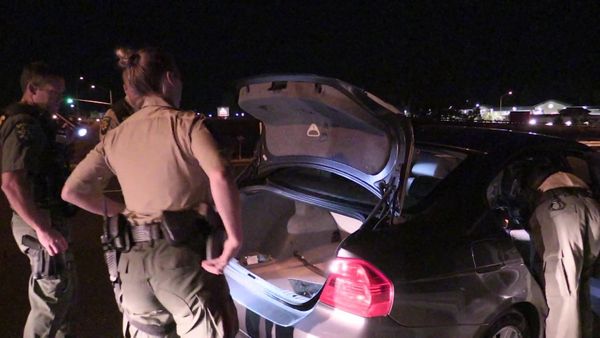 Sheriffs: El Dorado County - A Big Dog & Bunches of Meth