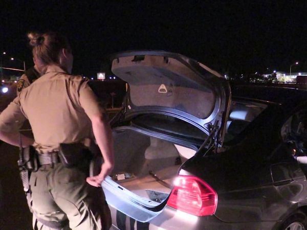 Sheriffs: El Dorado County - A Big Dog & Bunches of Meth