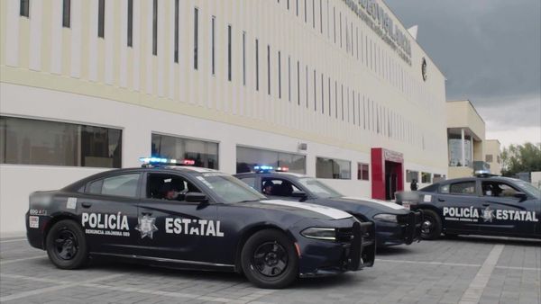 Captura exitosa - Episodio 13