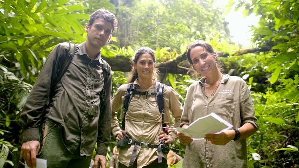 Schimpansen im Kongo - mit Jane Goodall - Kefans Erfolgsrezept