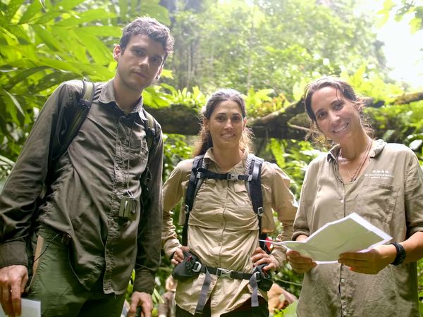 Schimpansen im Kongo - mit Jane Goodall - Kefans Erfolgsrezept