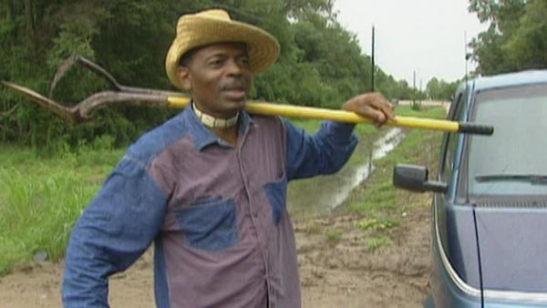 City Medical: New Orleans - Nature's Way