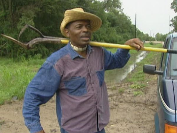 City Medical: New Orleans - Nature's Way