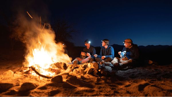 Survivalists - Leap of Faith