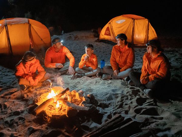 Survivalists - Making Up for Lost Time