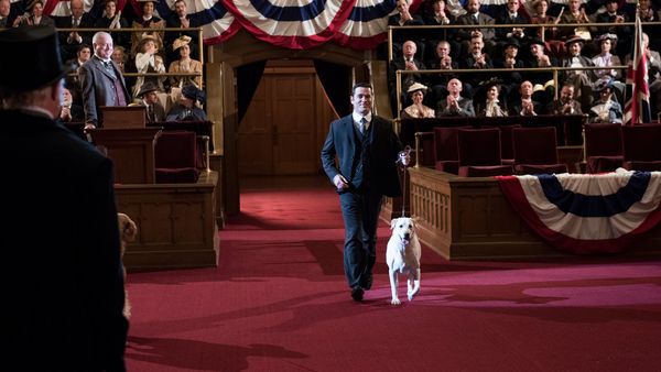 Murdoch Mysteries - A Murdog Mystery