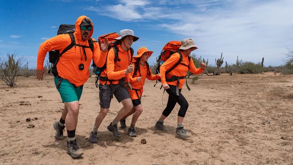 Survivalists - A Sea of Sharks