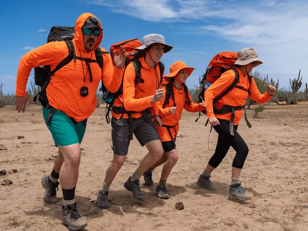 Survivalists - A Sea of Sharks