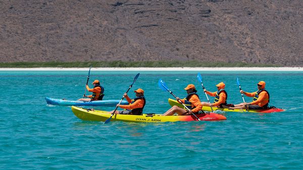 Survivalists - Paddles Away!