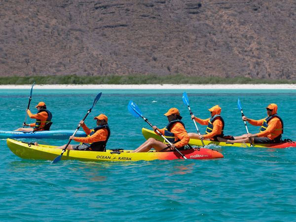 Survivalists - Paddles Away!
