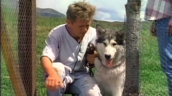 White Fang - (Pilot) Coming Home