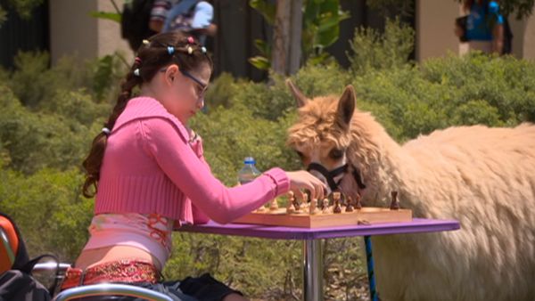 Zoey 101 - Quinn's Alpaca