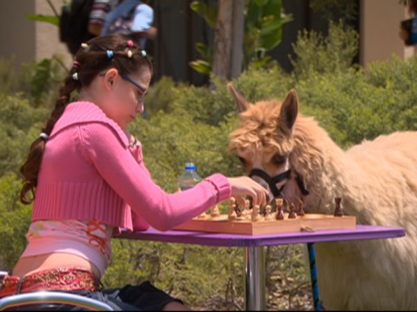 Zoey 101 - Quinn's Alpaca