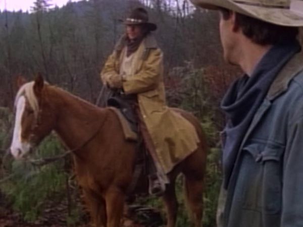 Bordertown - The Gunfighter