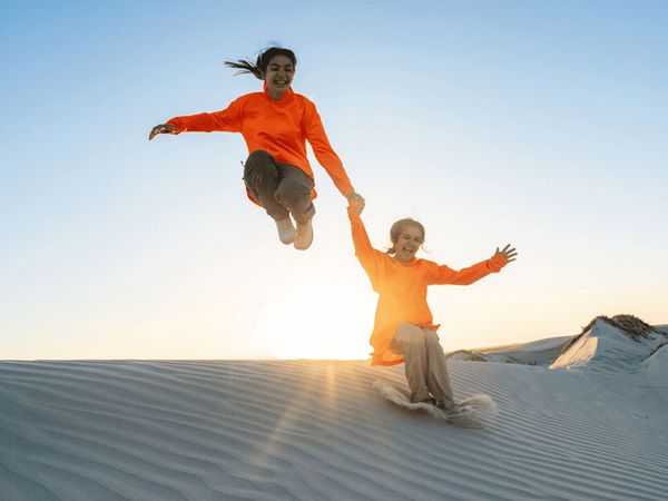 Survivalists - Towering Dunes