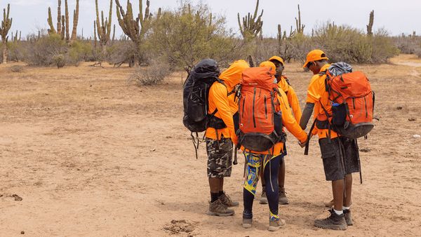 Survivalists - Sharks in the Water!