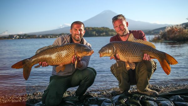 Monster Carp - Japan