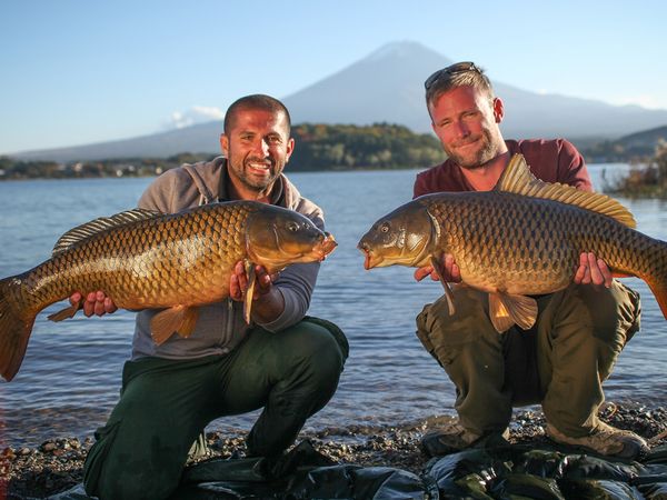Monster Carp - Japan