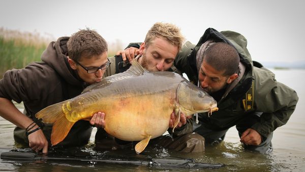 Monster Carp - Austria