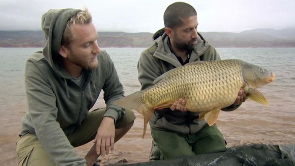 Monster Carp - Morocco