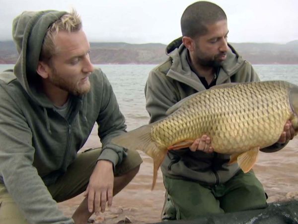 Monster Carp - Morocco