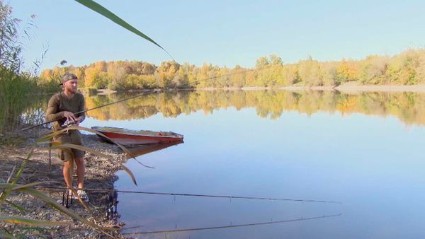 Monster Carp - Bosnia