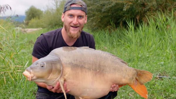 Monster Carp - Croatia