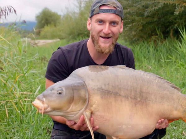 Monster Carp - Croatia