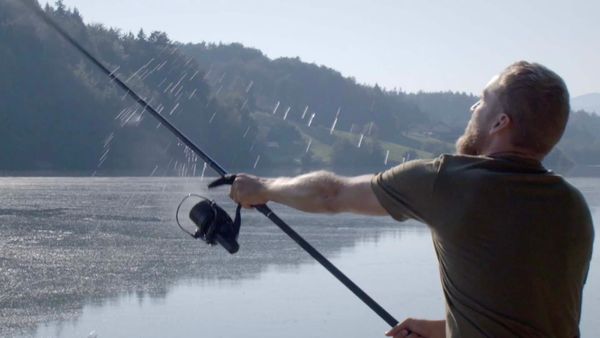Monster Carp - Slovenia