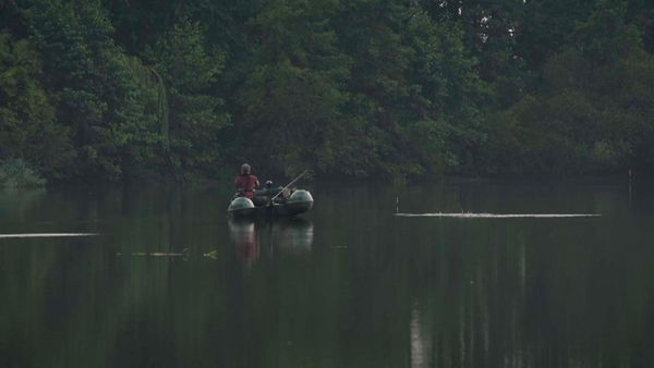 Monster Carp - Holland