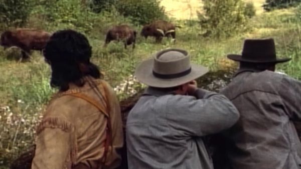 Bordertown - Buffalo Girl