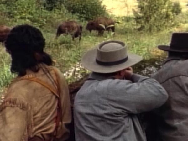 Bordertown - Buffalo Girl